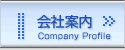 Јē*Company Profile